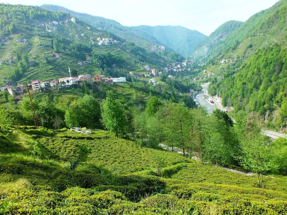 Yamaçtaki çay bahçelerinden görülen, köylerin dizildiği yeşil bir vadi