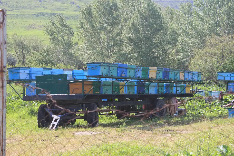 Römork üzerinde dizili renkli arı kovanları, arkada ağaçlık
